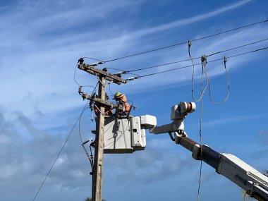 KAITAIA, NZL FEB 20 2025: Yükseltilmiş çalışma platformunda elektrik işçileri elektrik hatlarını tamir ediyorlar. Yeni Zelanda elektrik sektörü ağırlıklı olarak hidroelektrik, jeotermal ve rüzgar enerjisi gibi yenilenebilir enerji kullanıyor..