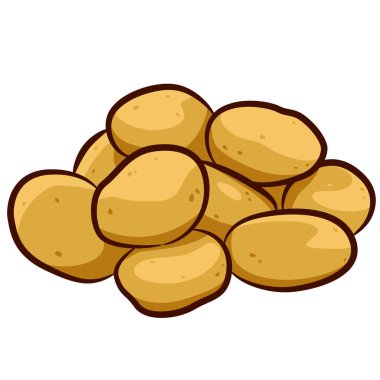 Çiğ patates tasviri. Beyaz arka planda izole edilmiş. Mürekkep elle çizilmiş bir resim..