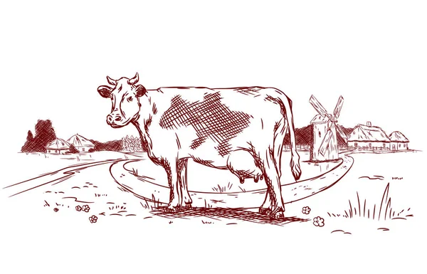 Ilustración Una Vaca Campo Con Camino Sobre Fondo Molino Casas — Vector de stock