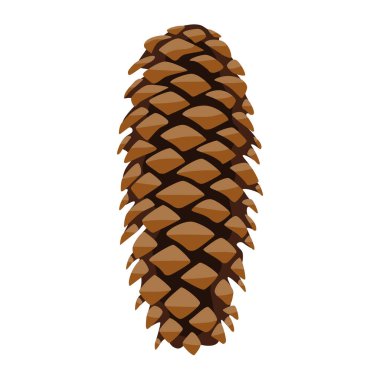 Beyaz arka planda izole edilmiş bir kozalak tasviri