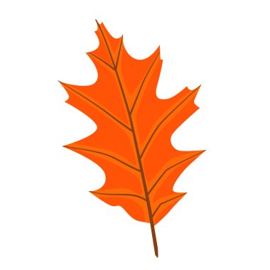 Beyaz arka planda izole edilmiş, portakallı bir ağaçtan sonbahar yaprağı tasviri