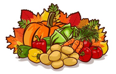 Sonbahar sarısı yapraklı taze sebzeler. Hasat temalı kompozisyon.