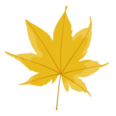 Beyaz arka planda izole edilmiş sarı bir ağaçtaki sonbahar yaprağının tasviri