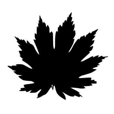 Bir ağaçtan siyah bir yaprak silueti