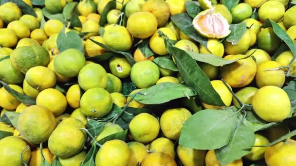 Neue Erntezeit Frische Mandarinen Und Blätter Auf Der Verkaufstheke Markt — Stockvideo