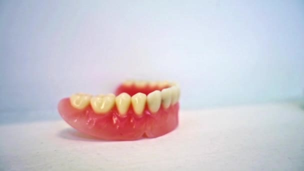 Real Dentures Memutar Pada White Background Footage — Stok Video