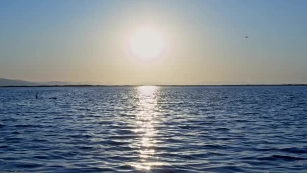 在冬季的影像中 蓝色的大海闪烁着阳光 — 图库视频影像