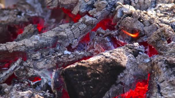 营火段烤面包时的木柴烟熏及冒烟 — 图库视频影像