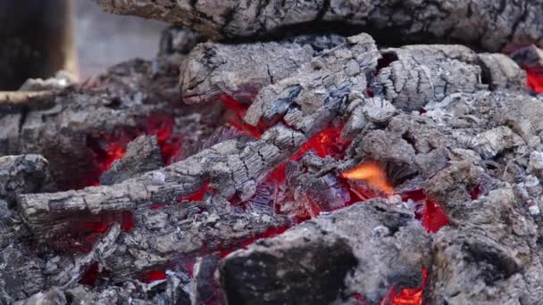 Red Smoky Wood Fire Camp Filmati — Video Stock