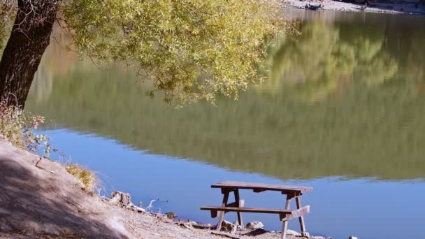 湖边的木椅 桌和树 — 图库视频影像