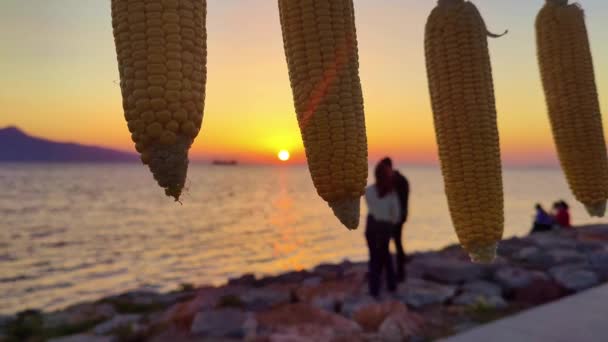 Hanging Corn Cobs Meer Und Menschliche Silhouetten Bei Sonnenuntergang Strand — Stockvideo