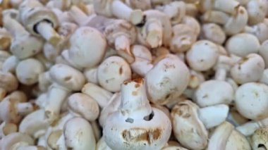 Market standındaki mantar yığını görüntüsü.