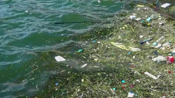 滨海段积存的塑料垃圾污染 — 图库视频影像