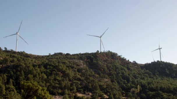 Electric Wind Turbines Working Mountain Slope Covered Green Pine Trees — Stock Video