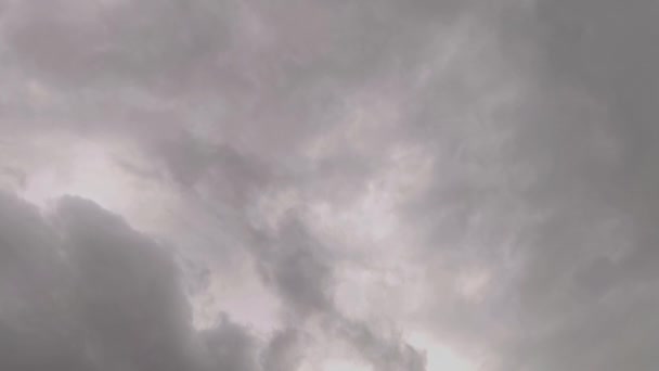 灰色天空中鸟儿飞翔的轮廓 — 图库视频影像