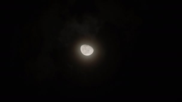 Full Moon Shines Sky Black Cloudy Night Footage — Stock Video