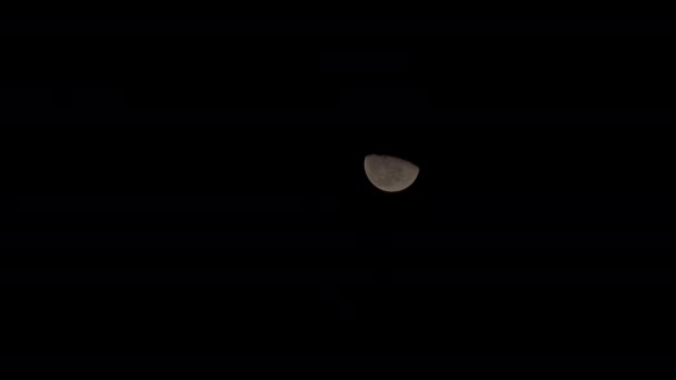 Half Moon Shines Sky Black Cloudy Night Footage — Stock Video