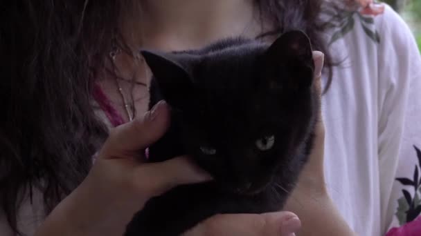Zbliżenie Trochę Czarny Kot Kobieta Ramiona Wideo — Wideo stockowe