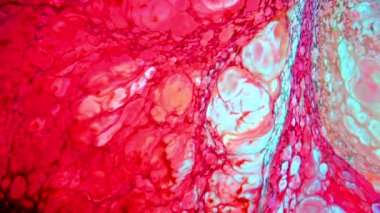 Abstract Colorful Color Paint Ink Explode Diffusion Psychedelic Blast Movement.