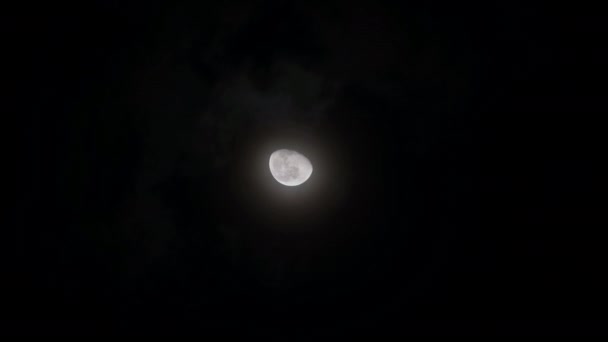 Close Shot Full Moon Night Clouds Footage — Videoclip de stoc