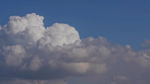 Dense Cumulus Rain Clouds Moving Sky Footage — стоковое видео