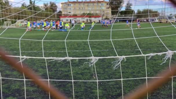 Allenamento Calcio Dietro Reti Obiettivo Sul Campo Calcio Verde Filmato — Video Stock