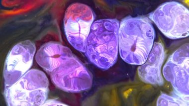 Yavaş Hareketli Makro Desen Sanatsal Kavramsal Renk Yüzey Taşıyıcı Yüzey Sıvı Boya Sıçratma Sanatı DokusuName