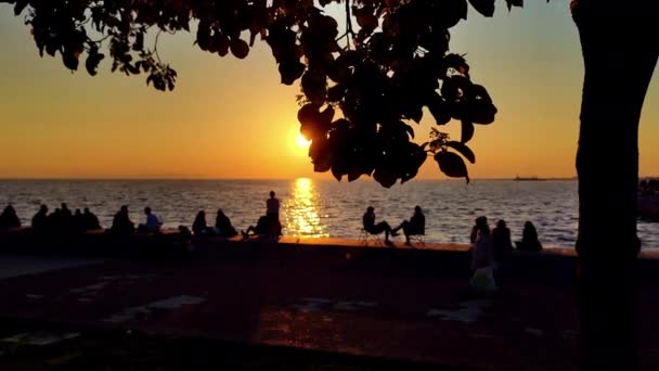 Siluetas Personas Sentadas Contra Sol Playa Atardecer — Vídeo de stock