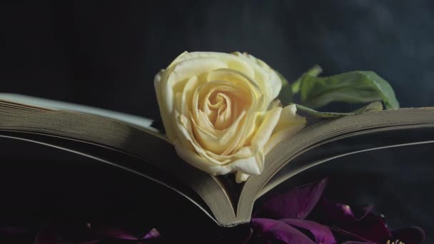 Libro Lectura Religiosa Rosa Amarilla Humo Entre Hojas Filmación — Vídeos de Stock