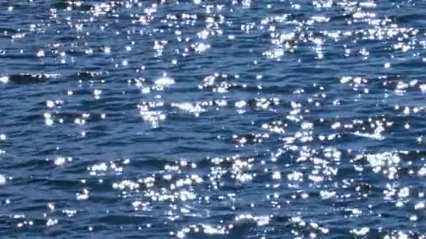 Birçok Parlayan Güneş Deniz Suyu Üzerinde Parıldıyor — Stok video