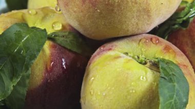 Yeni Hasat Taze Şeftali Dönen Görüntüsü.