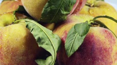 Yeni Hasat Taze Şeftali Dönen Görüntüsü.