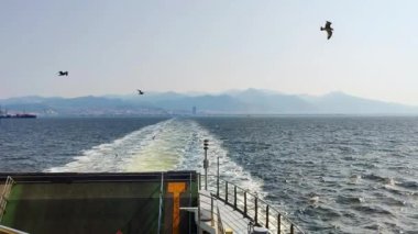 Feribotun İçinden Gökte Uçan martıların Deniz Görüntüsü.