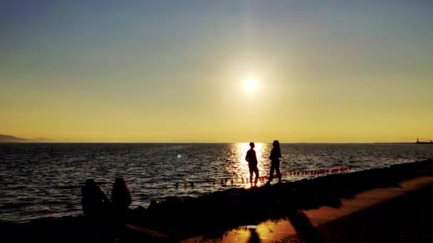 Силуэт Влюбленной Пары Стоящей Пляже Беседуя Подножия Заката — стоковое видео