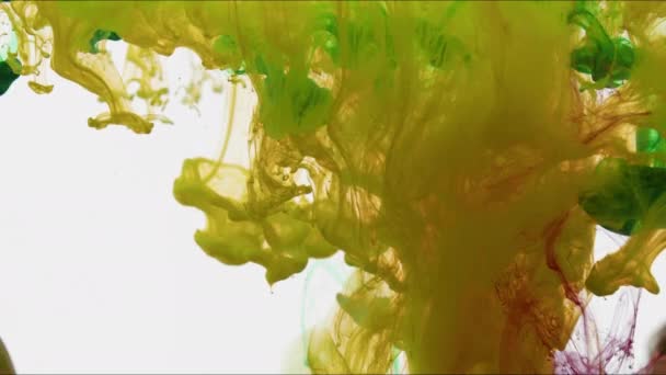 水質の映像で広がる抽象的なインクの低下 — ストック動画