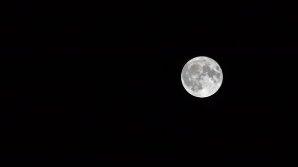 Superluna Craterizzata Muove Nella Notte Buia — Video Stock