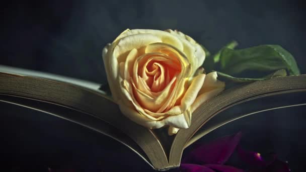 Żółta Róża Między Starożytną Księgą Religijną Dymiącym Pokoju — Wideo stockowe