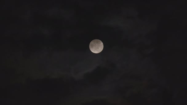 Nuvole Nere Che Passano Davanti Alla Luna Nella Notte Oscura — Video Stock