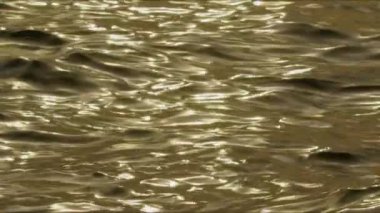 Soyut Deniz Dalgaları Dalgalanan Arkaplan Görüntüsü.