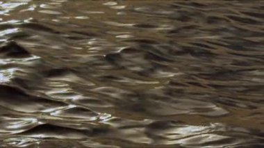 Okyanus suyundaki yumuşak derin dalgalar..