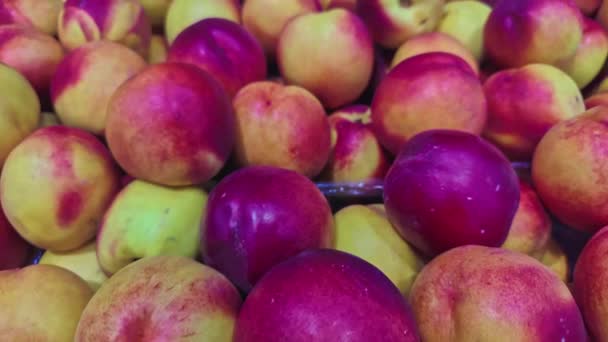 Pile Peach Nectarines Market Stall Footage — Stock Video