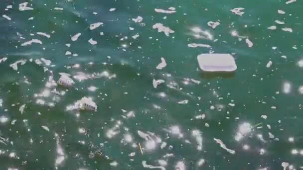 Human Plastic Cup Plate Garbage Sea Water Footage — Stock Video