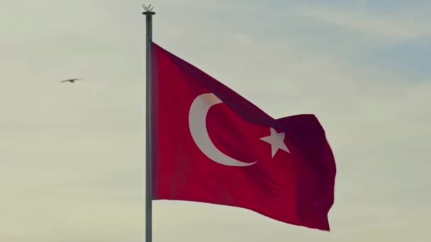 Turecké Vlajky Vlnící Větru Pozadí Oblohy Turecký Národní Symbol — Stock video