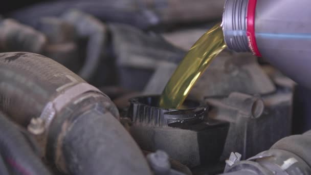 Versare Nuovo Olio Minerale Can Motore Auto Riparazione Negozio Filmati — Video Stock