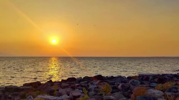 Idyllischer Strand Bei Gelbem Sonnenuntergang Herbst — Stockvideo