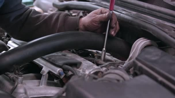 Bilmekaniker Reparerar Motorn Med Hjälp Sockel Skruvmejsel — Stockvideo