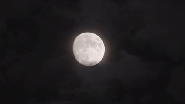 Nuvole Spettrali Che Passano Davanti Alla Luna Freddo Filmato Notte — Video Stock