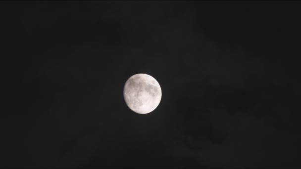 Bulan Purnama Dengan Awan Gelap Melewati Langit Footage — Stok Video