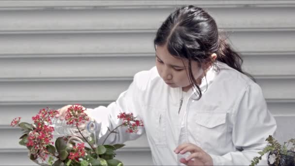 长毛小女孩 从瓶脚上浇灌花盆 — 图库视频影像