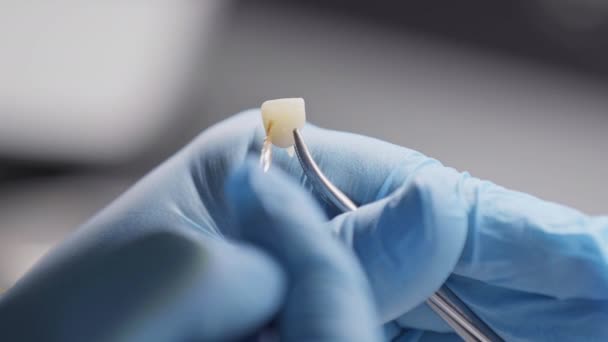 歯科医の技術者は実験室のフッテージのブラシが付いている歯を塗ります — ストック動画
